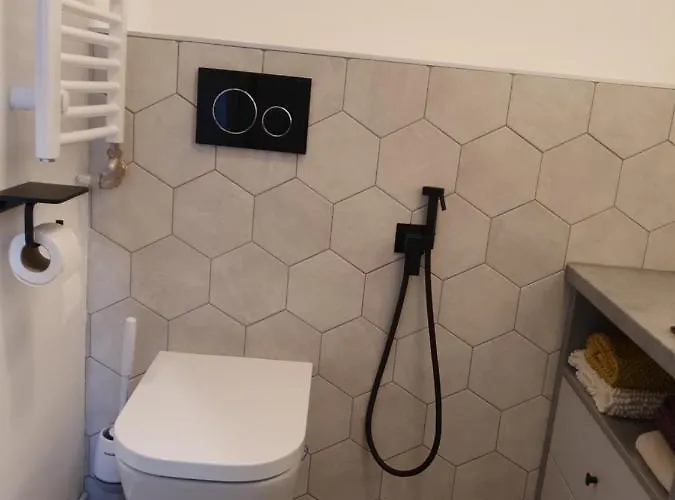 Modern Floor Loft With Balcony Apartament